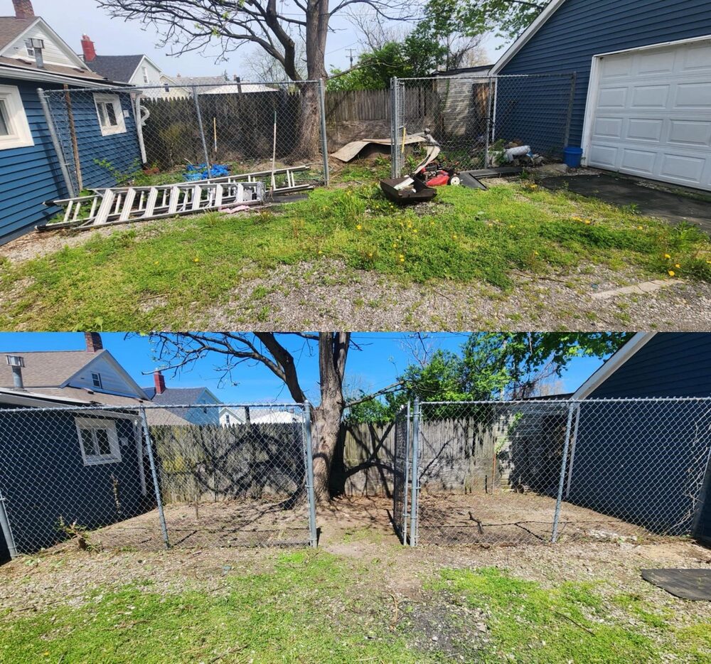 Backyard cleaned up and cut