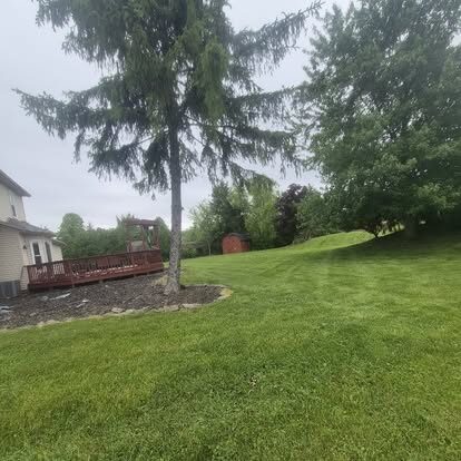 Crisp mowing stripes across a front lawn