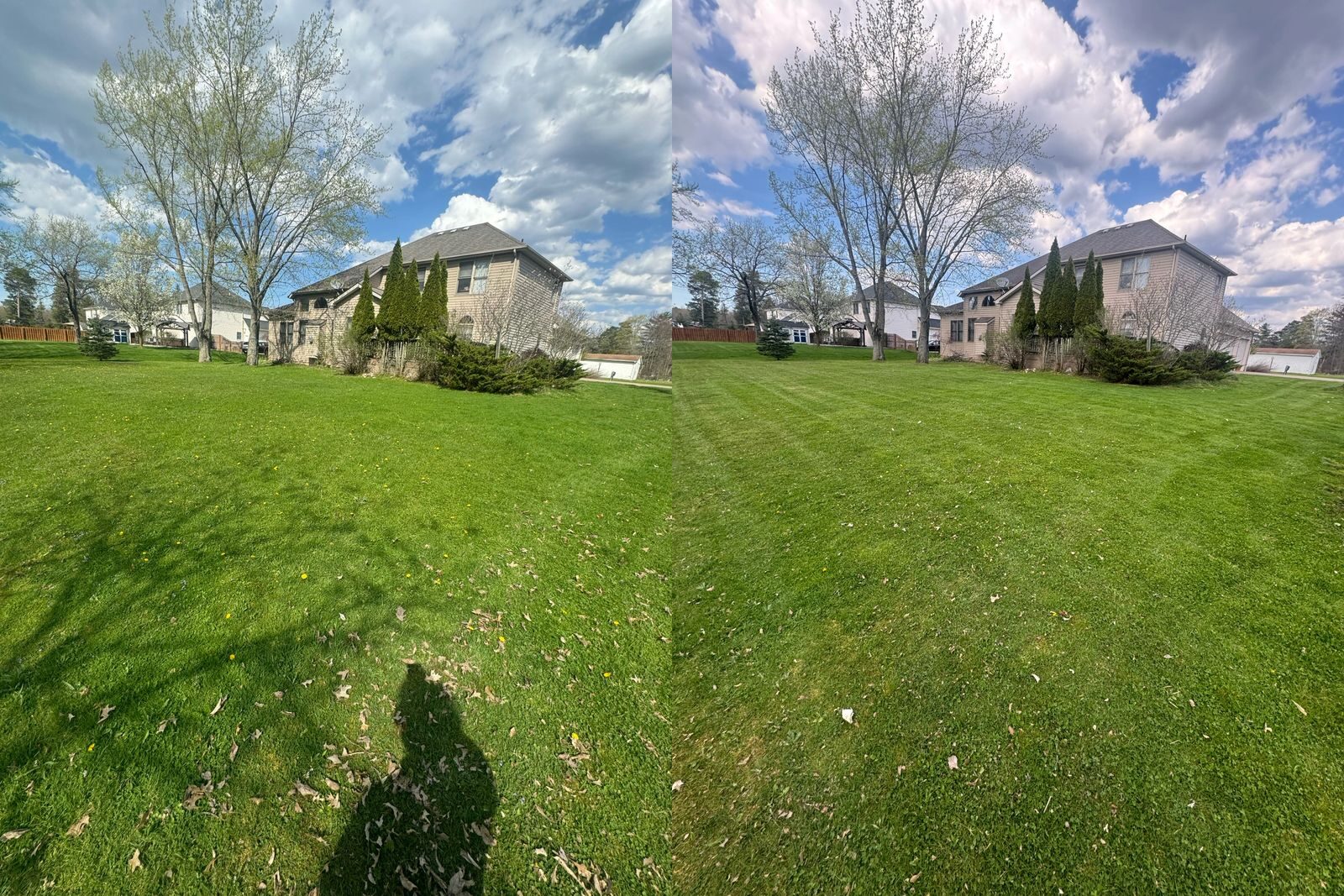 A freshly mowed, lush green lawn in a Parma Heights neighborhood